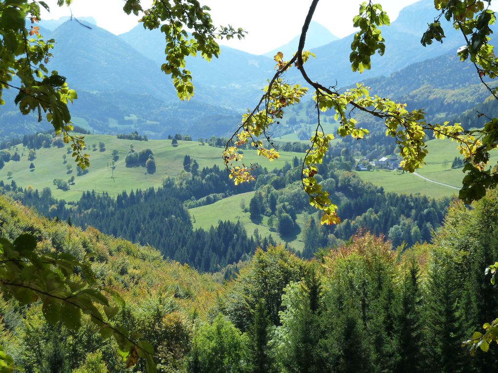 Album - Automne-en-Chartreuse