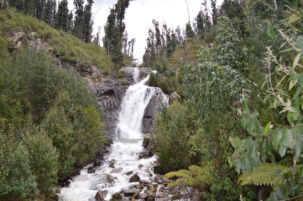 Direction les Steavensons Falls à Marysville dans les Yarra Ranges. Poursuite avec quelques vignobles de la Yarra Valley pour une dégustation de vins.