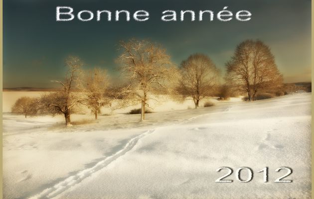 Bonne année 2012