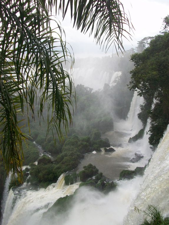 Album - D - Iguazu