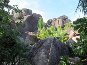 La Digue (Seychelles)-2019-