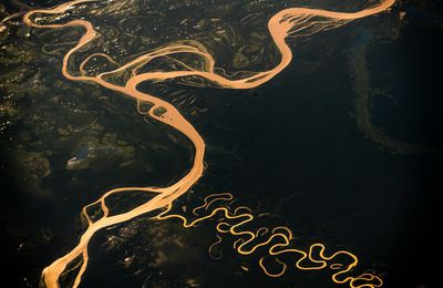 Is Amazon rainforest going from carbon sink to carbon source?