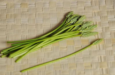 asperges des bois