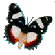 Naissance