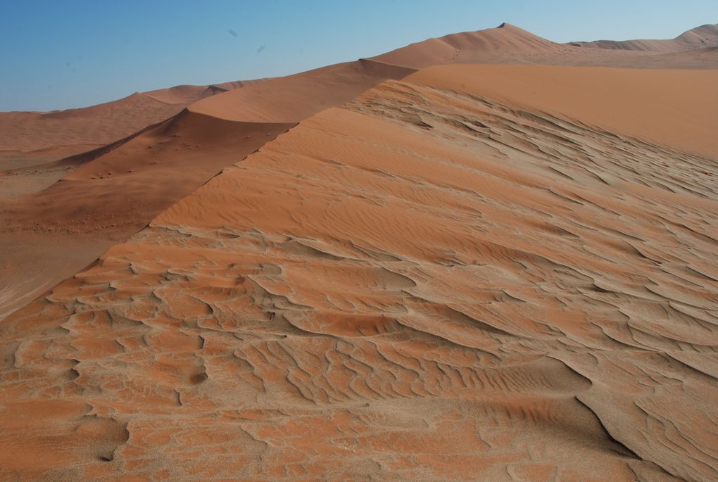 Album - Desert-du-Namib