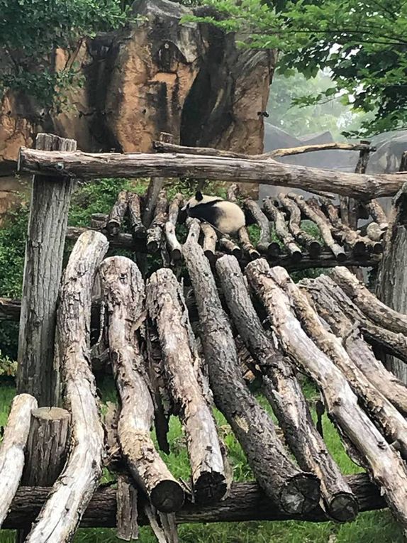 Nous vous faisons découvrir une sélection des animaux que les enfants ont pu admirer