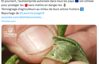 Acétamipride : retour sur un complot « scientifique »