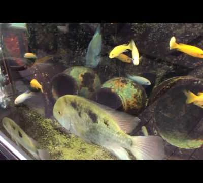 Parc du Rhône Collombey:...chez Coop