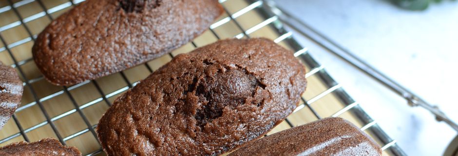 Madeleines au cacao