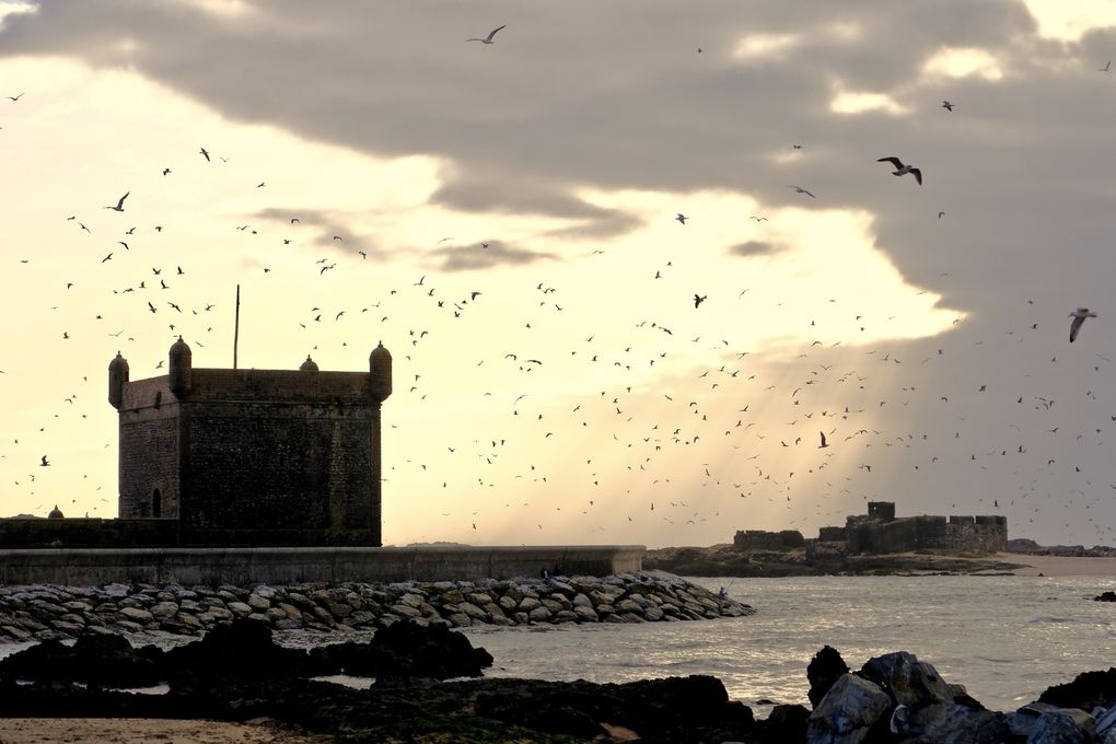 Un coucher de soleil sur les iles purpuraires pour finir ce récit....riches d'histoires et situées juste en face du port, les îles abritent une prison désaffectée, une mosquée et un minaret, des constructions qui conservent dans leur mur le murmure des vies passées. Elles gardent un parfum de mystère pour celui qui est irrésistiblement attiré par le passé et ses silences.