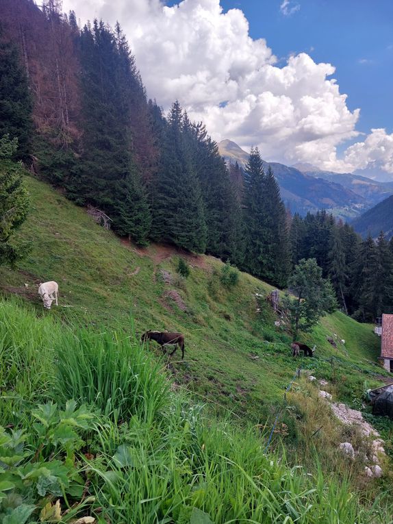 Cycling4fun - Les Dolomites (Italia)