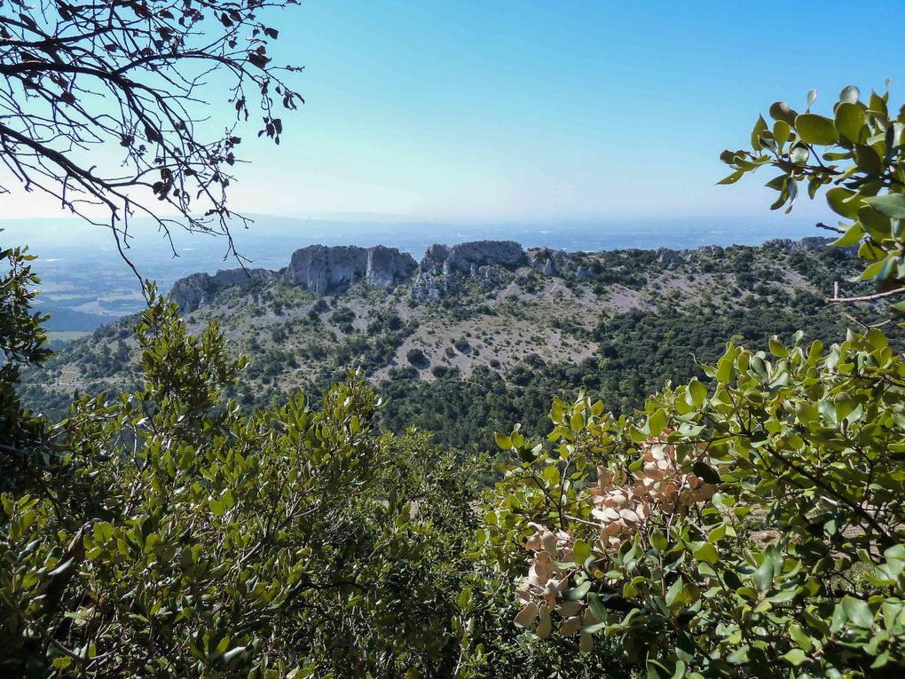Album - Dentelles-de-Montmirail