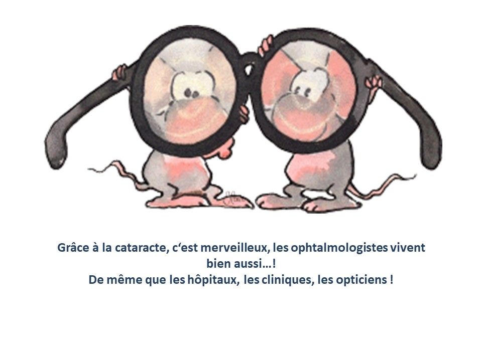 Divers - Dieu Merci ils vivent encore