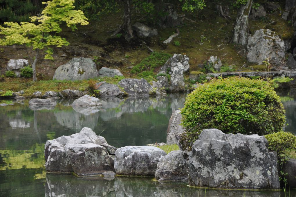 Album - 10-Arashiyama