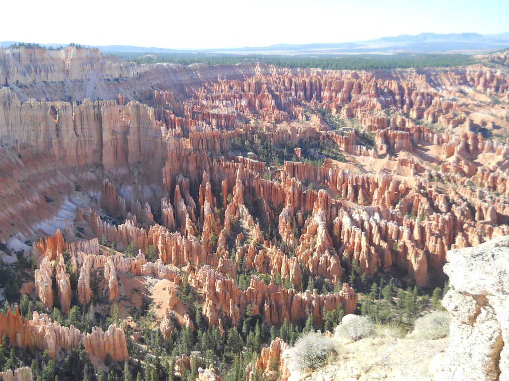 Album - J9 - Bryce Canyon VS Grand Canyon