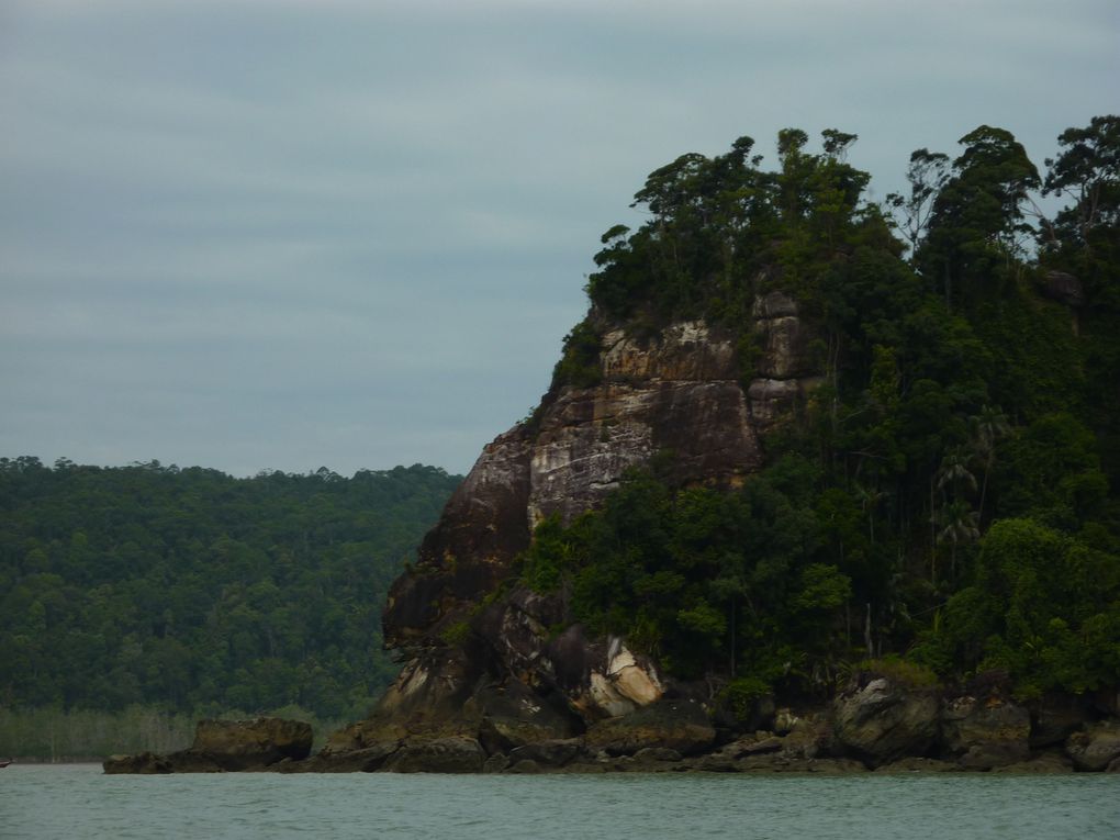 Kuching - Mongkos - Bako national park.
Certaines photos a Mongkos sont de Jennie ou depuis son appareil car en bon cretin, je decouvre que mes deux batteries sont vides...