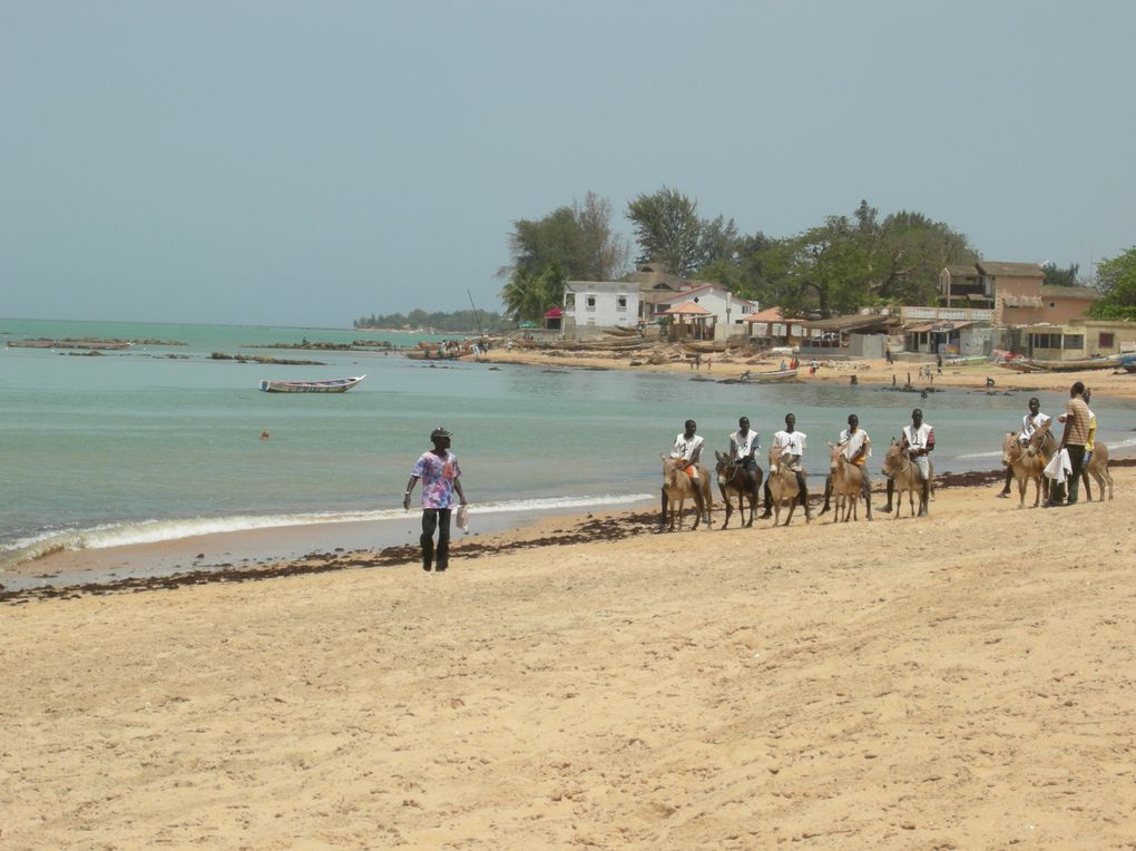 Album - Saly / janvier &amp; Mai 2010