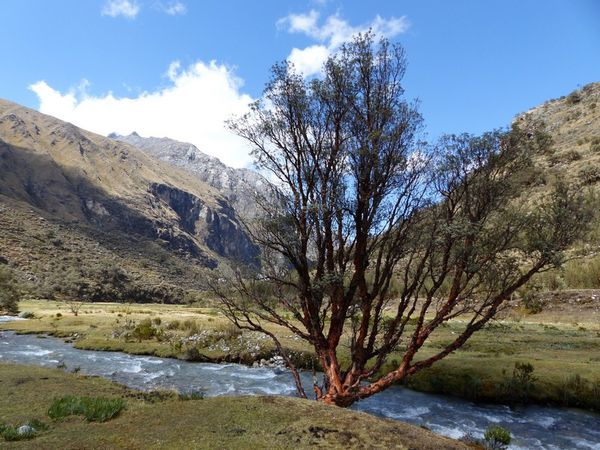 Huaraz: 4 days of treking in the Cordillera Blanca!