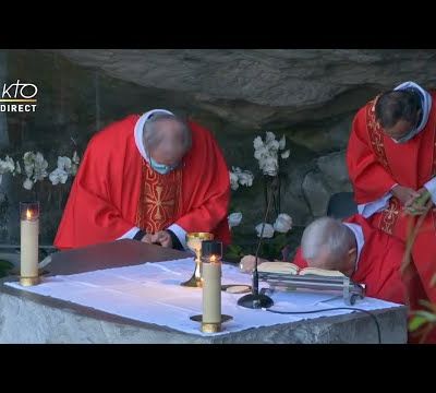 « La moisson est abondante, mais les ouvriers sont peu nombreux » (Lc 10, 1-9) 