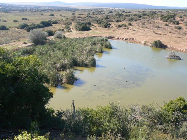 Et la deuxième partie de notre voyage en Afrique du Sud arrive enfin...