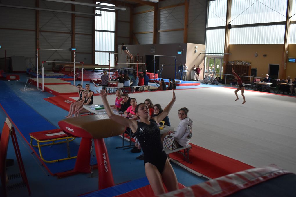 CHAMPIONNAT DEPARTEMENTAL GYMNASTIQUE 2023/2024