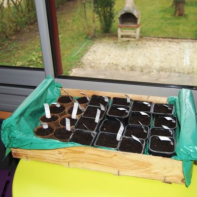 reportage photo semis