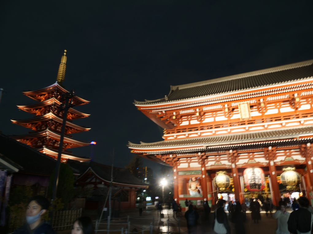 Asakusa, sa zone commercante, son joli temple, ses belles portes, sa pagode, son Don Quijote avec son aquarium avec des murènes...