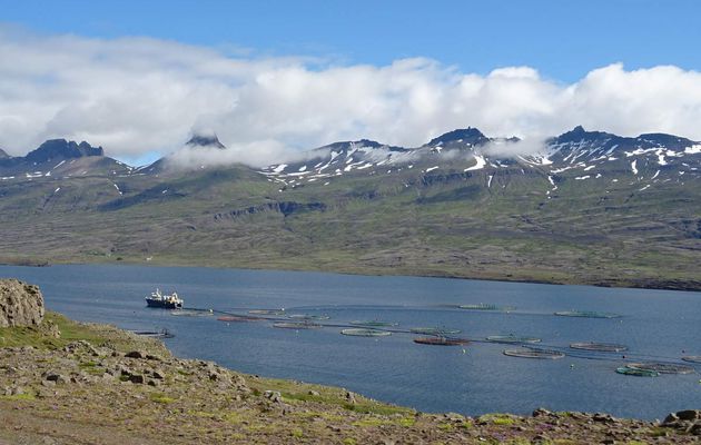 Est de l'Islande