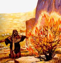 Les aventures de Moïse