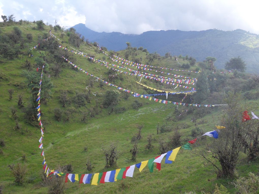 Trek jusqu'à admirer le Kangjenjunga, 3ème plus haut sommet du monde au soleil couchant et au petit matin