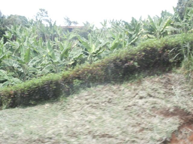 Album - 2013-l-colombie-Popayan---Cali