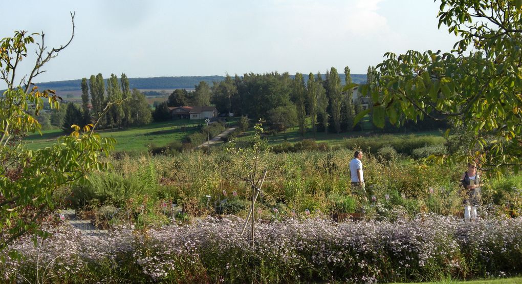 Ce jardin appartient au Conseil Régional de la Lorraine. Il se veut ainsi être une vitrine de ce qui se fait de mieux chez nous... Appartient au groupe transfrontalier des Jardins sans Limites...