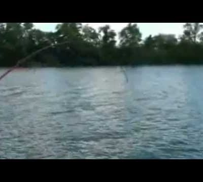 Silure 1m40 en Seine par Pierre le 1er juillet 2012