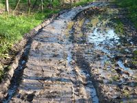 Balade dans les chemins creux. Photos de Alain.