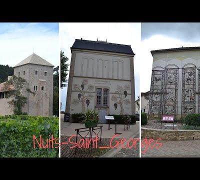 visite de Nuits-Saint-Georges