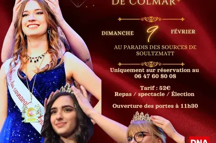 L’ASSOCIATION DU CARNAVAL DE COLMAR ANIMERA LA FÊTE DU CARNAVAL LE SAMEDI 29 MARS 2025 au Diaconat.