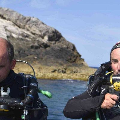 La plongée sous-marine à Marseille : découverte des espèces de poissons et autres habitants marins