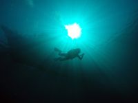 Komodo - La vie aquatique