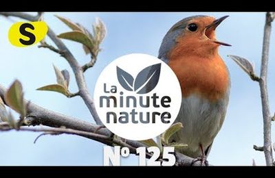 Pour  se détendre un pot-pourri d'article divers