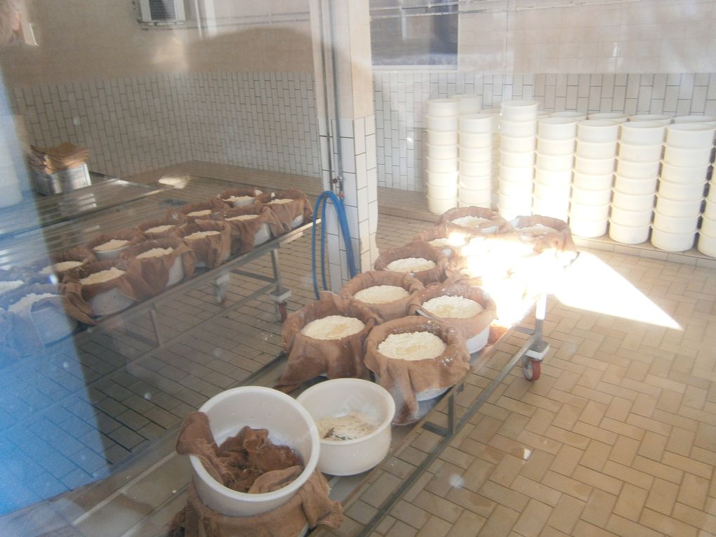 Album - 07-02-2012-La-fromagerie-des-Moussieres