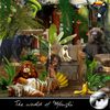 "THE WORLD OF MOWGLI" by kitty scrap