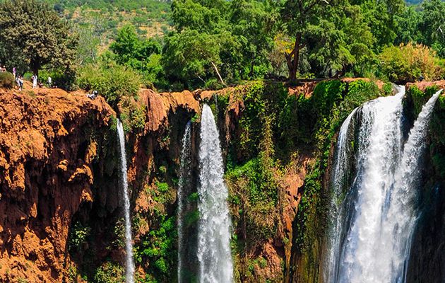 Excursion Cascades d'Ouzoud depuis Marrakech