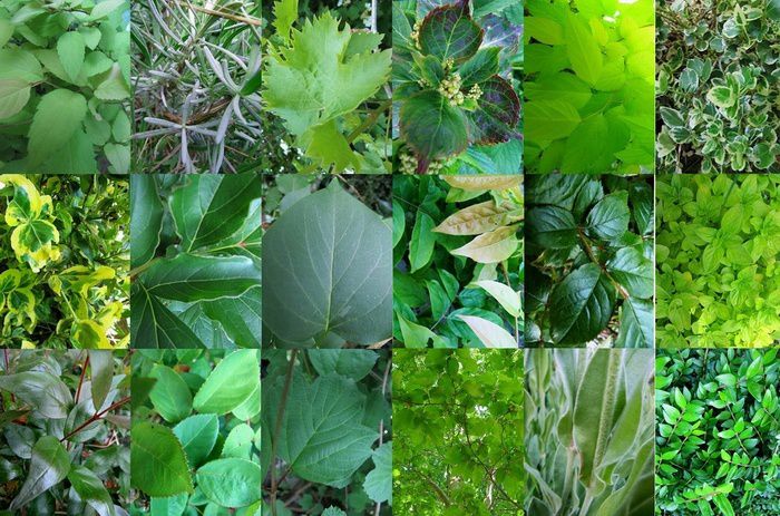 Album - Bienvenu-au-jardin