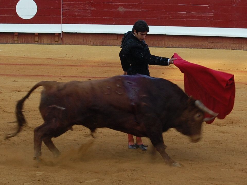 Album - Dax - Corrida du 16 août 2009