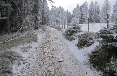 Parcours vtt n°17 du pilat