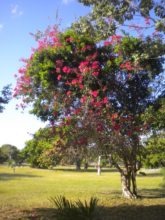 Yucatan, Campeche, Chiapas