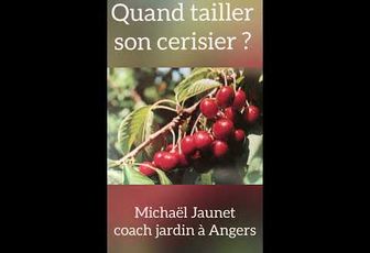 Quand tailler son cerisier?