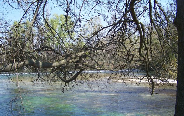 Dessin et peinture - vidéo 1070 : Aquarelle des bords de la sorgue dans le vaucluse.