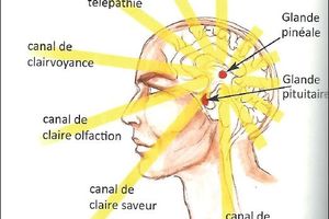 Formation Géobiologie 11/07