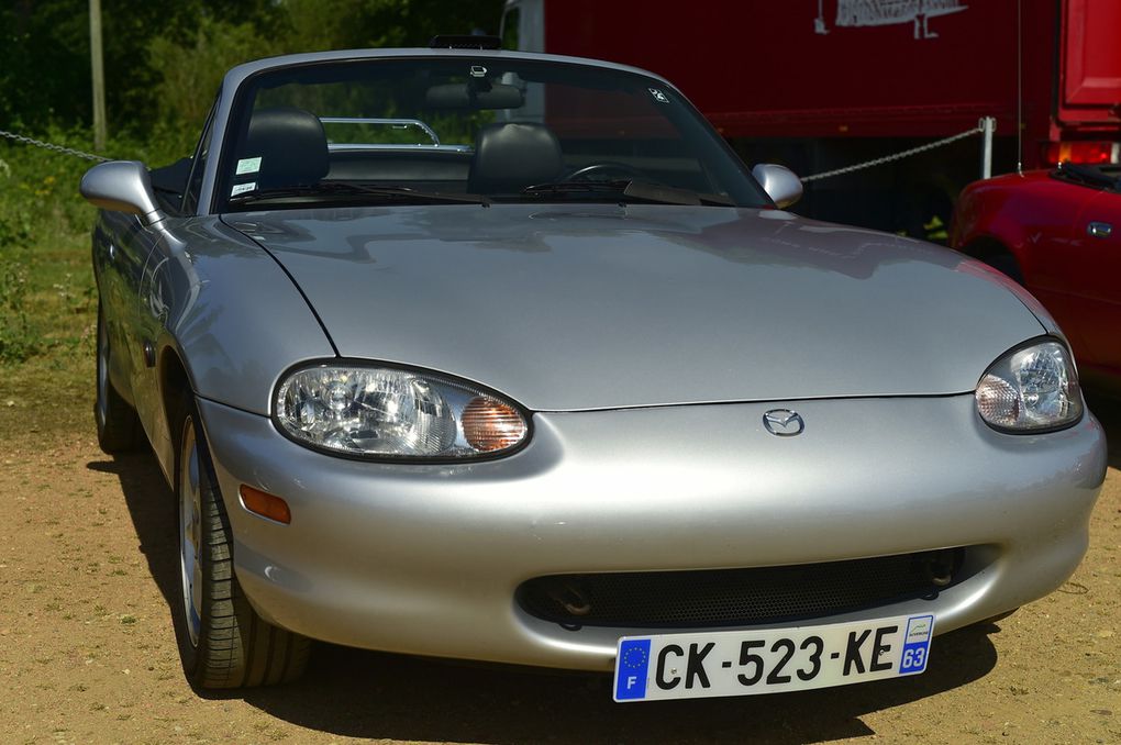 Rassemblement (PAPA35) , club Passion Auto Prestige et Ancienne d'ille et Vilaine de juillet 2019